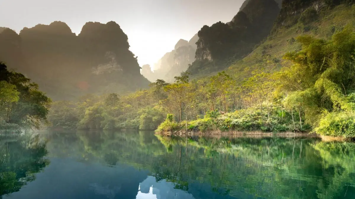 高效高效绿色